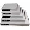 CAJA PIZZA BASE PLASTIFICADA 20 X 20 X 3