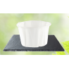 COPA PAPEL ECOHOUSE 2 ONZAS PQ X100 UND