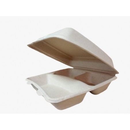PORTACOMIDA ECOGREEN PULPA DE PAPEL 22X18X7 P3 X 20
