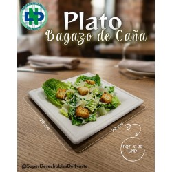 PLATO BAGAZO DE CAÑA CUADRADO 20 X 20 PROM.NAT PQ X 20