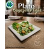 PLATO BAGAZO DE CAÑA CUADRADO 20 X 20 PROM.NAT PQ X 20