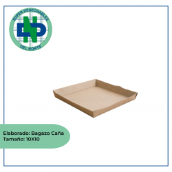 PLATO SEEDPACK BAGAZO DE CAÑA 10X10 PQX20 UNDS