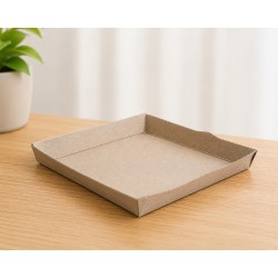 PLATO SEEDPACK BAGAZO DE CAÑA 10X10 PQX20 UNDS