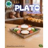 PLATO SEEDPACK BAGAZO DE CAÑA 10X10 PQX20 UNDS