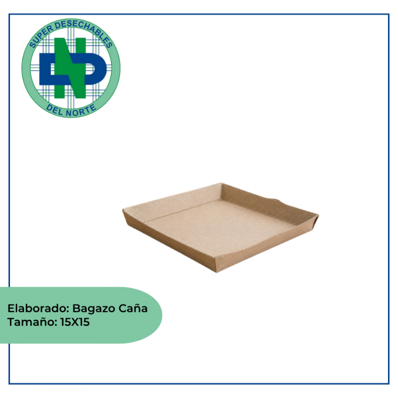 PLATO SEEDPACK BAGAZO DE CAÑA 15X15 PQX20