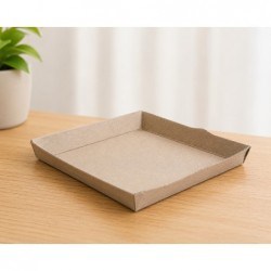 PLATO SEEDPACK BAGAZO DE CAÑA 15X15 PQX20