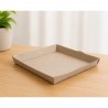 PLATO SEEDPACK BAGAZO DE CAÑA 15X15 PQX20