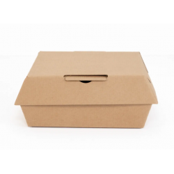 CONTENEDOR SEED PACK 5X5 PQ X 20 UND