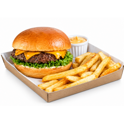 PLATO SEEDPACK BAGAZO DE CAÑA 25X25 PQX20