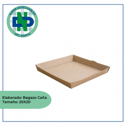 PLATO SEEDPACK BAGAZO DE CAÑA 20X20 PQX20