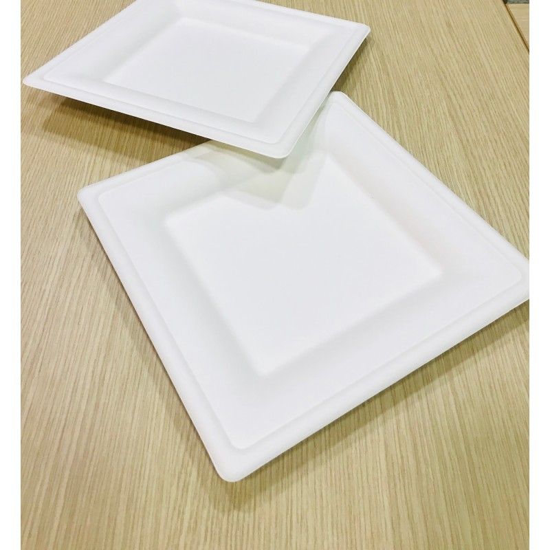 PLATO BAGAZO DE CAÑA CUADRADO 25 X 25  PQ X 10 UND