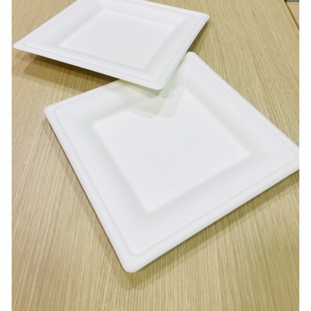 PLATO BAGAZO DE CAÑA CUADRADO 25 X 25  PQ X 10 UND